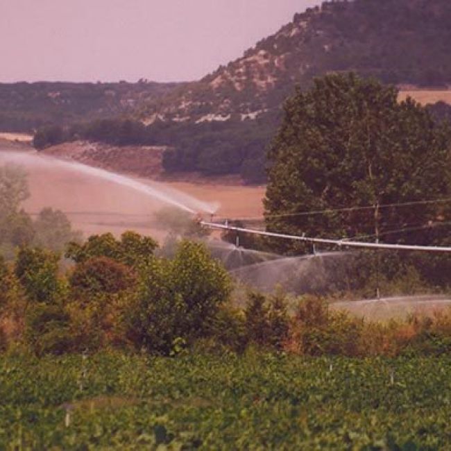 venta agícola Palencia